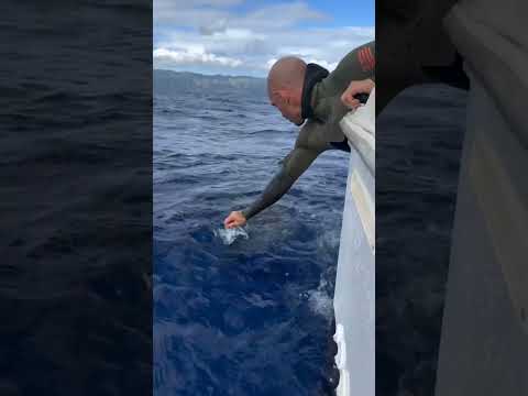 Big fish can't be cry ☠️☠️ scary#fishing#edit#shortsfeed