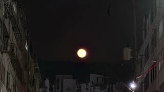 김광석 - 서른 즈음에