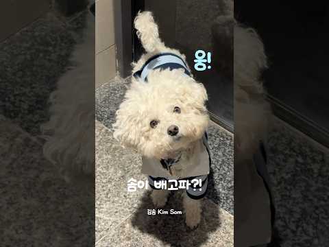 연하남이랑 밥 먹으러 가실 분