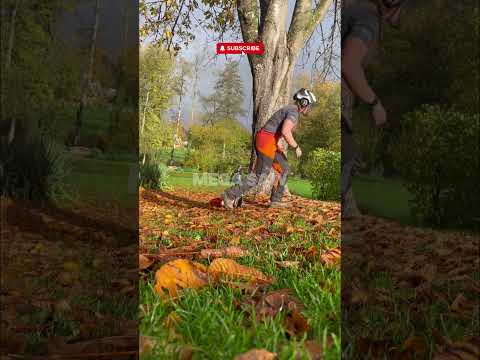 Perfect Cut & Wedge Technique πͺπ²