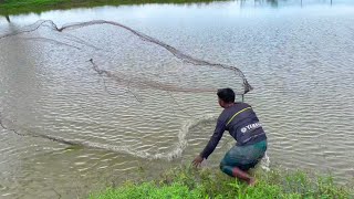 Best Fishing By Cast Net | Fishing Video