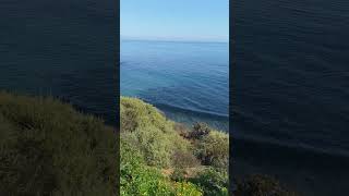 ugly California