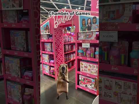 #suscribeteydalelike #dalelikeysuscribete #suscríbeteya #suscribete #capibara #barbie #capybara