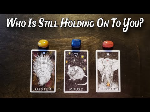 💘💕 Who Is Still Holding On To You? 🤗💕 Pick A Card Love Reading