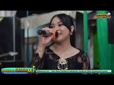 CINDERELA CAMPURSARI SATRIA MJ LIVE TALUN BULU POLOKARTO