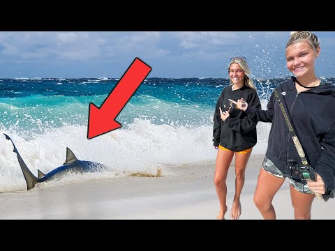 We went Shark Fishing and things got wild!
