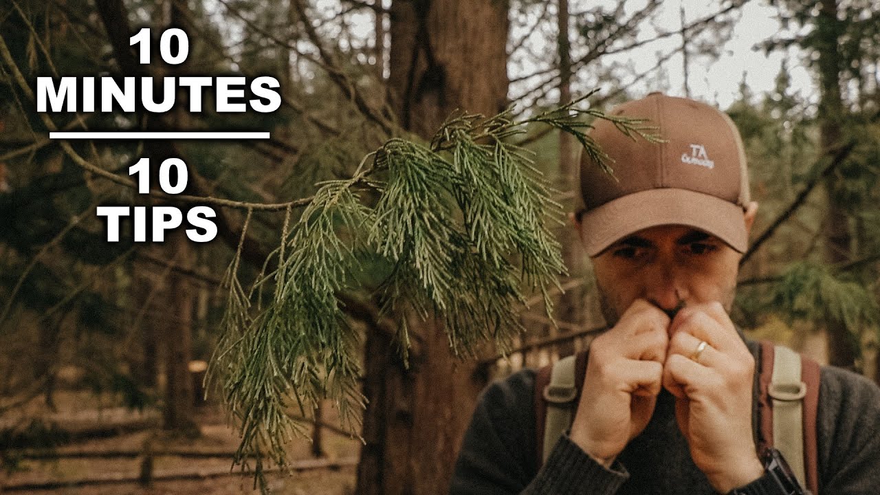 10 Bushcraft Tips and Survival Skills in 10 Minutes