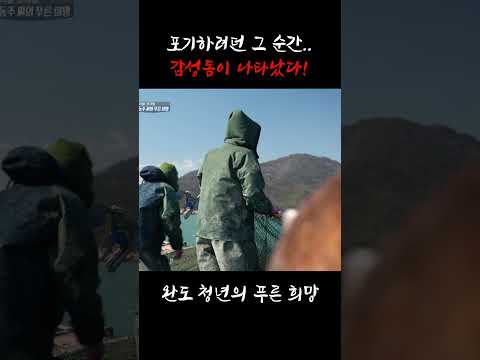 눈물 날 뻔한 어획 실패 끝에 찾아온 감성돔 한 마리!!! #shorts