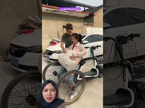 BAWA KARUNG DAN RODA NAIK MOTOR LISTRIK