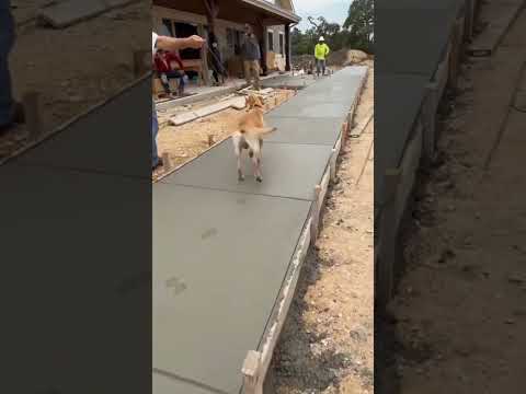 the best “stamped” concrete