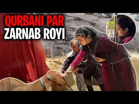 Cow Zibah honay per Zarnab Bohat Royi 💔 | Abraaj ny Kacha Gosht utha kay kha lia😅 Eid Day 1 | ZARAIB
