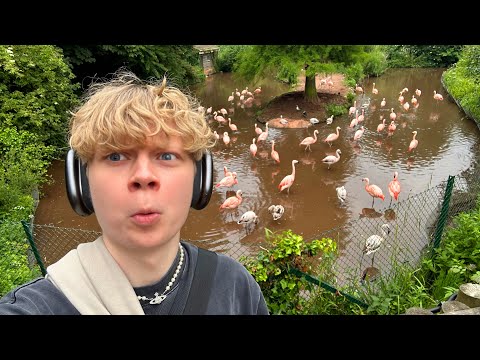 MEETING MM2 YOUTUBERS IN REAL LIFE! (IRL ZOO VLOG)