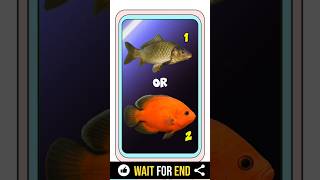 Like Fish #quiz #fish #like