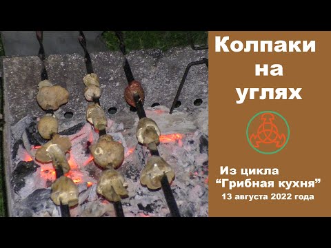 Колпаки на углях. Грибная кухня. 13 августа 2022 года