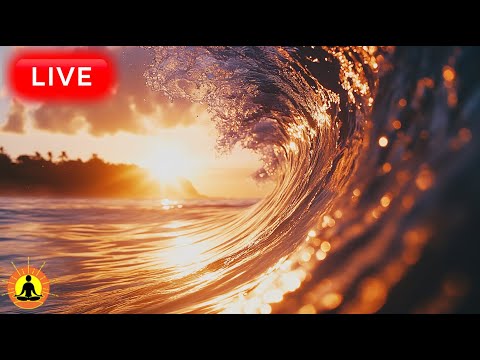 &#128308; Relaxing Music with Gentle Waves 24/7, Calming Music for Stress &amp; Anxiety Relief, Meditation Music