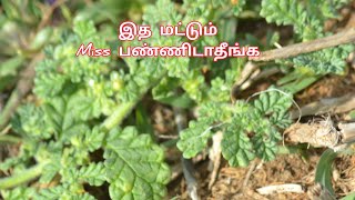 ஆராத புண்ணும் வெறும் 2 நாளில் காணாமல் போக இது போதும்