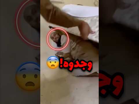 كان يحاول يتخبى في مكة وهذا اللي صار!! (صدمة)