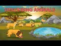 Animal Behavior and Diet Questions
