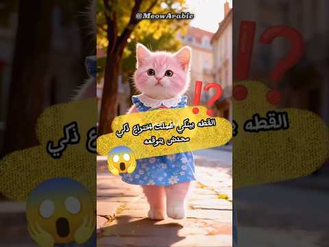 القطه بينكي عملت اختراع ذكي محدش يتوقعه #ai #cataistory #aivideo #catvideos #explore #cartoon #cat