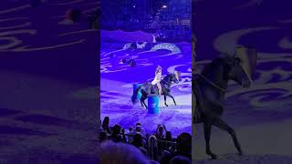 Grosser Preis von Sachsen  Chemnitzer Pferdenacht 2024 #horses #kenziedysli #laurytisseur