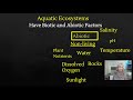 Aquatic Ecosystem Concepts Assessment