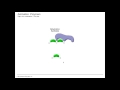 Cellular Metabolism and Macromolecules