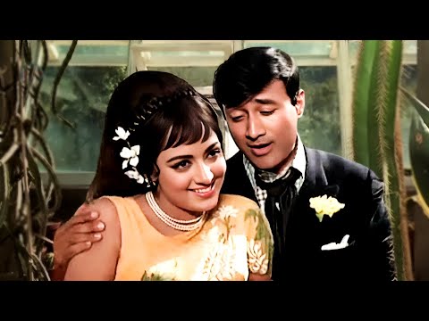 4K Nafrat Karnewalon Ke | Hema Malini | Bollywood Sad Song | Old Hindi Hit Song