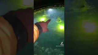 الشلال وبحيره السمك