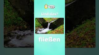 🧠 German Verb Quiz 🇩🇪