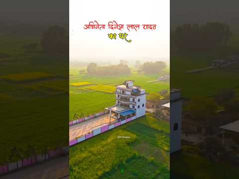 निरहुआ का आलीशान घर | करोड़ों का इंटीरियर कार–कलेक्शन और रॉयल लाइफस्टाइल #dineshlalyadav #shorts #up