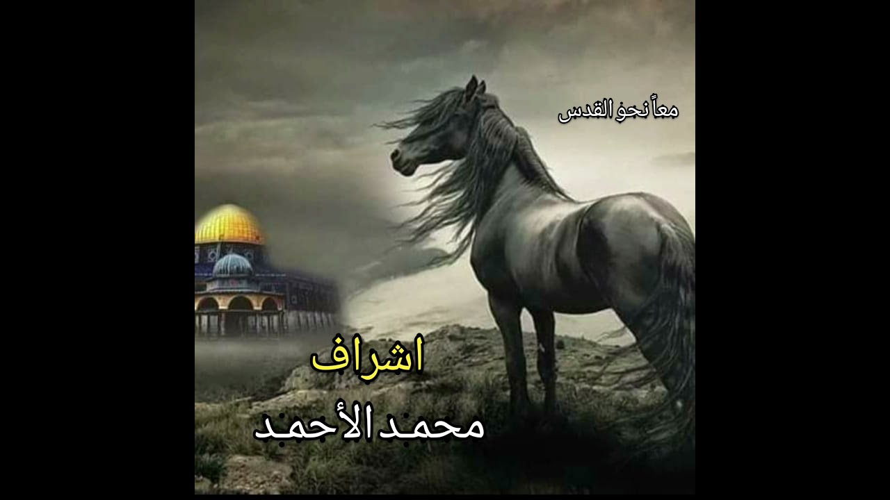 قم يا صلاح .. للشاعر الفلسطيني حسام العكش