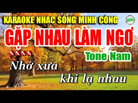 Karaoke Gặp Nhau Làm Ngơ | Nhạc Sống Trữ Tình Tone Nam Dễ Hát | Nhạc Sống Minh Công