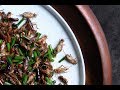 Cooking with Crickets: Techniques and Insights