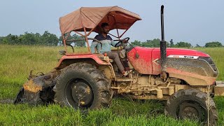 Solis Yanmar 4WD Tractor Working In Mud For Farming | Swaraj And Solis Tractor | Tractor Stuck Video