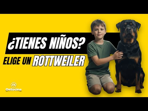 Rottweiler: El Protector Ideal para tus Niños