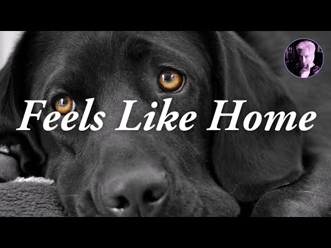 Feels Like Home | Diana Krall Karaoke