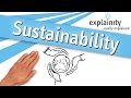 Sustainable Practices and Environmental Awareness