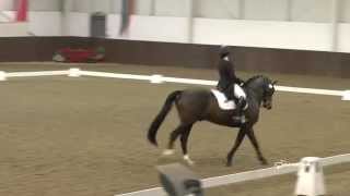 Lucy Pincus, 2015 FEI International Dressage Competition, Addington Manor
