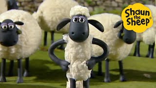 Time for some action! 🐑 Shaun the Sheep 🐑  - Cartoons for Kids 🐑 Full Episodes Compilation [1 hour]