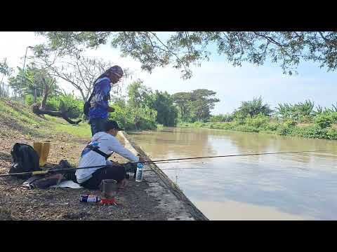 AWESOME ‼️ FISHING IN THE RIVER 🎣 #fishing