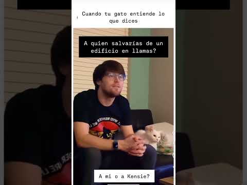 gato entiende la conversación_ummayben