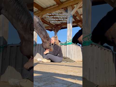 A gentleman in a horse’s body 🐎 #horse #wholesome #gentleman #love #foryou #fyp