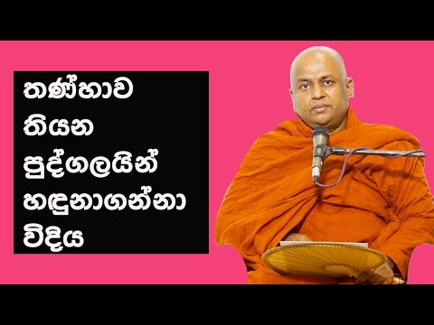 තණ්හාව තියන පුද්ගලයින් හඳුනාගන්නා විදිය| Thalalle Chandakeerthi Himi Bana Thanhawa