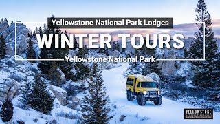 Winter Tours in Yellowstone National Park