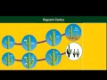 Adaptations in Organisms and Their Functions