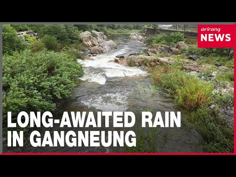 YouTube video thumbnail: Torrential Rain Hits Drought Stricken Gangneung