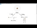 Forces in Physics: Concepts and Applications