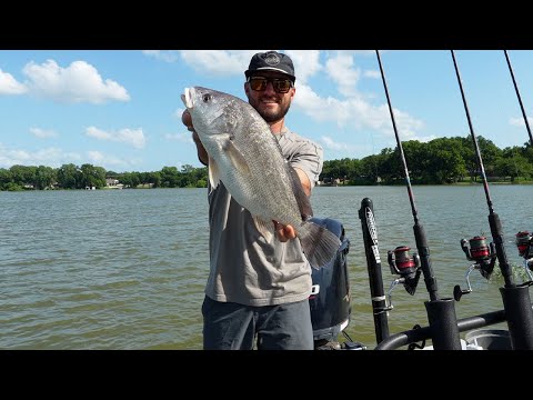 Fresh Water DRUM {Catch Clean Cook} Using Live Crawfish