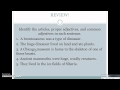 Understanding Adjectives and Their Functions