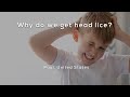 Understanding Head Lice